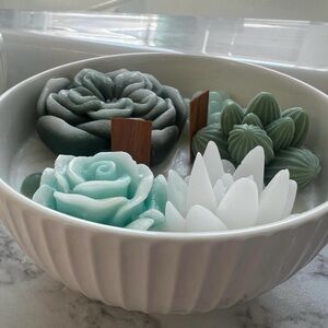 SUCCULENT CANDLE SCENT: BAJA CACTUS BLOSSOM Floral Scented Candle